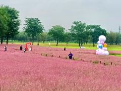 -汉长安城未央宫国家考古遗址公园