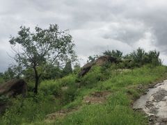 -白水寺森林公园