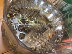 -烧货·活海鲜炭烧(湖滨商业街店)