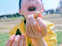 -灞河西岸滨河公园