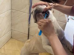 -美联众合动物医院·24h京西诊疗中心