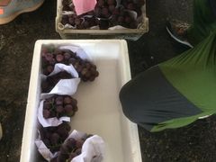 -江杨农产品批发市场