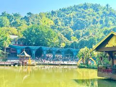 -西双版纳原始森林公园