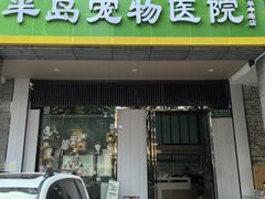 -半岛宠物医院24小时(科华中路店)
