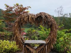 -广州白江湖森林公园