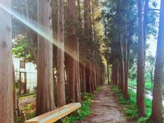 -前小桔亲子创意农场·草莓采摘·露营烧烤