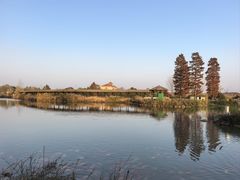-池杉湖湿地公园
