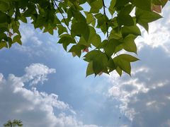 -钟山体育运动公园