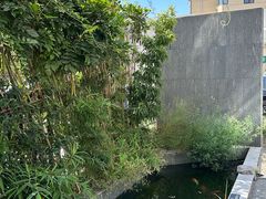 -汤宴·参须肚包鸡(南京路店)