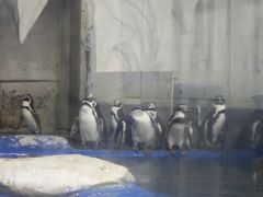 -太平洋海底世界