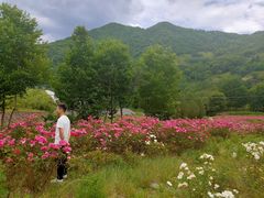 -镇坪县曙坪小学