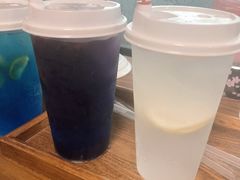 -柴犬高等学院·狗咖·柴犬售卖·宠物训练