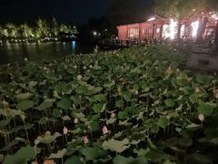-湘湖大院(越王路店)