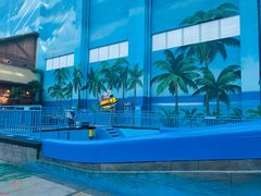 -青岛东方影都融创水世界