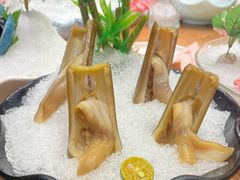 竹蛏-尚海豆捞(乐虹坊店)