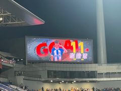 -泰达足球场