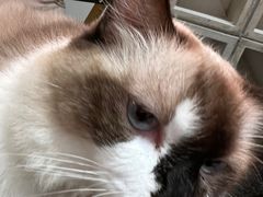 -seeu coffee(江滩店)