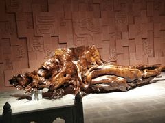 -乐山乌木文化博览苑