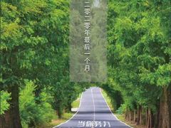 -黔灵山公园