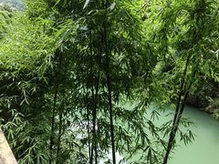 -三峡人家风景区