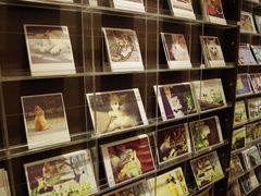 鼓浪屿小店5-新华书店(龙头路店)