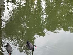 -钓鱼台国宾馆