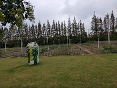 -上海长兴岛郊野公园