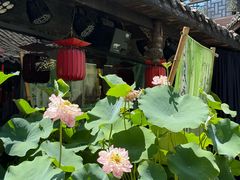 -小龙翻大江文化火锅(宽窄店)