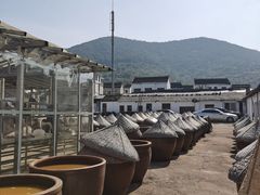 -苏州市吴中区光福窑上花果蜜饯厂