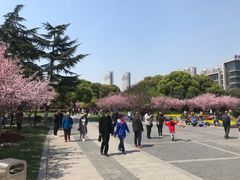 -荆川公园