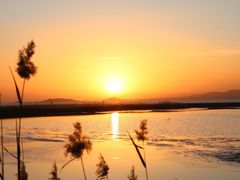 -野鸭湖国家湿地公园