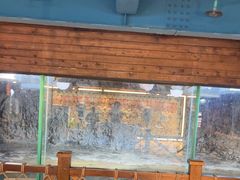-海合安青岛极地海洋公园