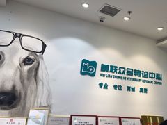 -美联众合动物医院·24h转诊中心