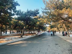 -北陵公园