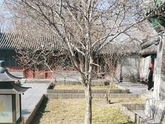 -恭王府博物馆