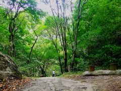 -少华山国家森林公园