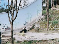 -中国大熊猫保护研究中心雅安碧峰峡基地