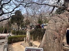 -青岛崂山太清宫