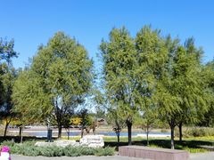 -永定河休闲森林公园