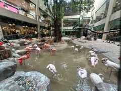 -白虎自助餐厅·真老虎·景观自助餐厅(广州长隆酒店)