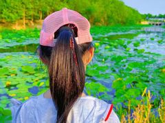 -天津东丽湖风景区