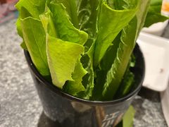 -江小渔鲜鱼火锅(辽沈二街店)