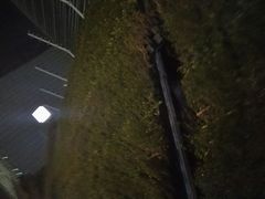 -黄阿姨锅贴大王(万航渡路店)