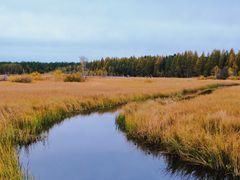 -塞罕坝国家级自然保护区