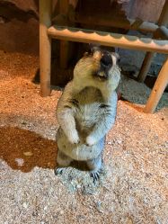 -酷嗒动物文化乐园(cutezoo西溪乐天城店)