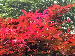 -湖滨客舍·湖北菜