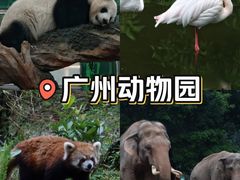 -广州动物园