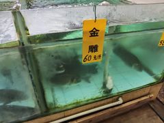 -寻味顺德·南记酒家·传统顺德菜·鱼生(广源路店)