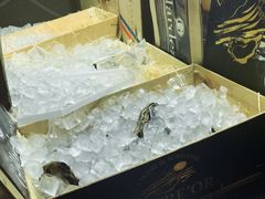 -囧吉香生蚝牛排馆(湖北路店)