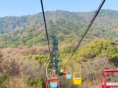 -惠山国家森林公园